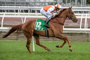 MELBOURNE CUP WINNER TO TARGET NEW Q22 RACE